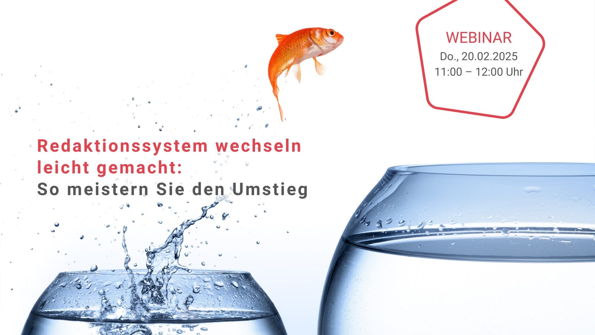 Webinar „Redaktionssystem wechseln leicht gemacht: So meistern Sie den Umstieg“